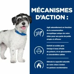HILL'S Prescription Diet J/d Metabolic + Mobility Mini Au Poulet - Croquettes Pour Chien -Promos Wanimo Boutique hill s prescription diet j d metabolic mobility mini au poulet croquettes pour chien 1 3