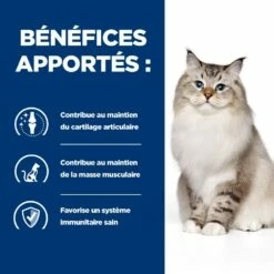 HILL'S Prescription Diet J/d Mobility Au Poulet - Croquettes Pour Chat -Promos Wanimo Boutique hill s prescription diet j d mobility au poulet croquettes pour chat 1 3