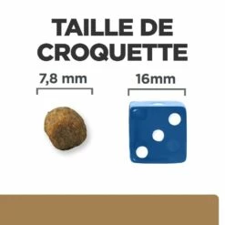 HILL'S Prescription Diet J/d Mobility Au Poulet - Croquettes Pour Chat -Promos Wanimo Boutique hill s prescription diet j d mobility au poulet croquettes pour chat 1 5