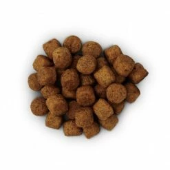 HILL'S Prescription Diet J/d Mobility Au Poulet - Croquettes Pour Chien -Promos Wanimo Boutique hill s prescription diet j d mobility au poulet croquettes pour chien 1 12