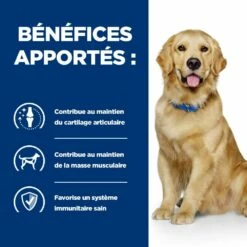 HILL'S Prescription Diet J/d Mobility Au Poulet - Croquettes Pour Chien -Promos Wanimo Boutique hill s prescription diet j d mobility au poulet croquettes pour chien 1 4