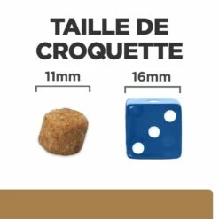 HILL'S Prescription Diet J/d Mobility Au Poulet - Croquettes Pour Chien -Promos Wanimo Boutique hill s prescription diet j d mobility au poulet croquettes pour chien 1 6