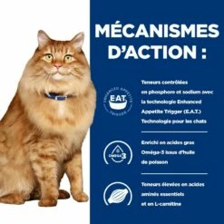 HILL'S Prescription Diet K/d J/d Kidney + Mobility Au Poulet - Croquettes Pour Chat -Promos Wanimo Boutique hill s prescription diet k d j d kidney mobility au poulet croquettes pour chat 1 5