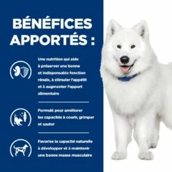 HILL'S Prescription Diet K/d J/d Kidney + Mobility - Croquettes Pour Chien 13 HILL'S Prescription Diet K/d J/d Kidney + Mobility - Croquettes Pour Chien -Promos Wanimo Boutique hill s prescription diet k d j d kidney mobility croquettes pour chien 1 4