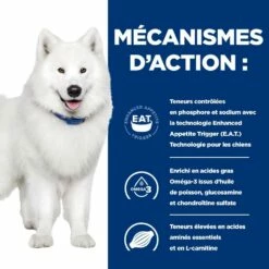 HILL'S Prescription Diet K/d J/d Kidney + Mobility - Croquettes Pour Chien 14 HILL'S Prescription Diet K/d J/d Kidney + Mobility - Croquettes Pour Chien -Promos Wanimo Boutique hill s prescription diet k d j d kidney mobility croquettes pour chien 1 5