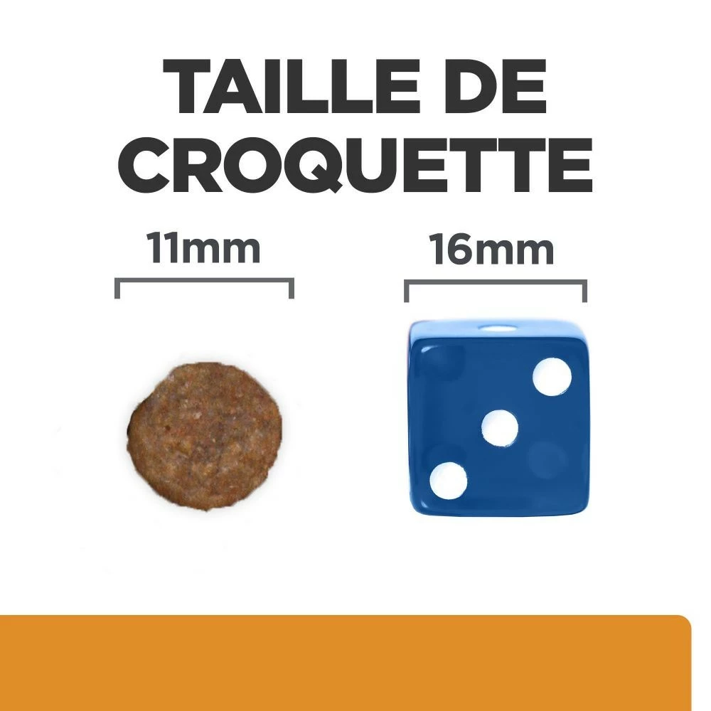HILL'S Prescription Diet K/d J/d Kidney + Mobility - Croquettes Pour Chien 7 HILL'S Prescription Diet K/d J/d Kidney + Mobility - Croquettes Pour Chien – Image 7
