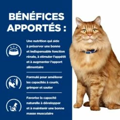 HILL'S Prescription Diet K/d J/d Kidney + Mobility En Sachets Au Poulet - Pâtée Pour Chat -Promos Wanimo Boutique hill s prescription diet k d j d kidney mobility en sachets au poulet patee pour chat 1 4