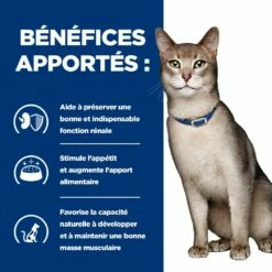 HILL'S Prescription Diet K/d Kidney Care Au Poulet - Croquettes Pour Chat -Promos Wanimo Boutique hill s prescription diet k d kidney care au poulet croquettes pour chat 1 3