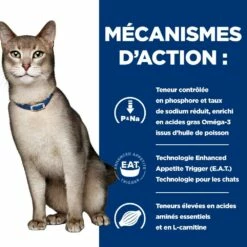 HILL'S Prescription Diet K/d Kidney Care Au Poulet - Croquettes Pour Chat -Promos Wanimo Boutique hill s prescription diet k d kidney care au poulet croquettes pour chat 1 4