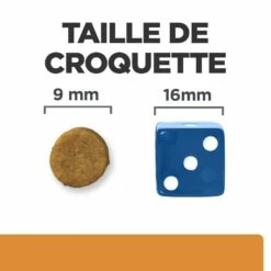 HILL'S Prescription Diet K/d Kidney Care Au Thon - Croquettes Pour Chat -Promos Wanimo Boutique hill s prescription diet k d kidney care au thon croquettes pour chat 1 5