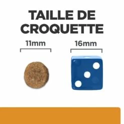 HILL'S Prescription Diet K/d Kidney Care - Croquettes Pour Chien 15 HILL'S Prescription Diet K/d Kidney Care - Croquettes Pour Chien -Promos Wanimo Boutique hill s prescription diet k d kidney care croquettes pour chien 1 6