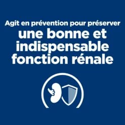 HILL'S Prescription Diet K/d Kidney Care Early Stage - Croquettes Pour Chat -Promos Wanimo Boutique hill s prescription diet k d kidney care early stage croquettes pour chat 1 2