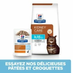 HILL'S Prescription Diet K/d Kidney Care Early Stage - Croquettes Pour Chat -Promos Wanimo Boutique hill s prescription diet k d kidney care early stage croquettes pour chat 1 3