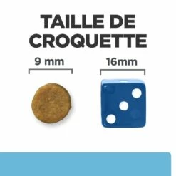 HILL'S Prescription Diet K/d Kidney Care Early Stage - Croquettes Pour Chat -Promos Wanimo Boutique hill s prescription diet k d kidney care early stage croquettes pour chat 1 6