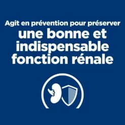 HILL'S Prescription Diet K/d Kidney Care Early Stage - Croquettes Pour Chien 11 HILL'S Prescription Diet K/d Kidney Care Early Stage - Croquettes Pour Chien -Promos Wanimo Boutique hill s prescription diet k d kidney care early stage croquettes pour chien 1 2