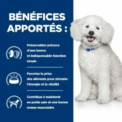 HILL'S Prescription Diet K/d Kidney Care Early Stage - Croquettes Pour Chien 12 HILL'S Prescription Diet K/d Kidney Care Early Stage - Croquettes Pour Chien -Promos Wanimo Boutique hill s prescription diet k d kidney care early stage croquettes pour chien 1 3