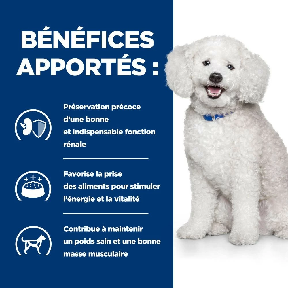 HILL'S Prescription Diet K/d Kidney Care Early Stage - Croquettes Pour Chien 4 HILL'S Prescription Diet K/d Kidney Care Early Stage - Croquettes Pour Chien – Image 4