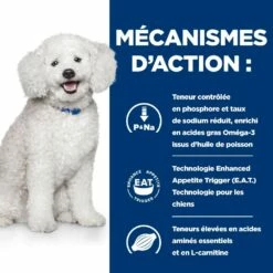 HILL'S Prescription Diet K/d Kidney Care Early Stage - Croquettes Pour Chien 13 HILL'S Prescription Diet K/d Kidney Care Early Stage - Croquettes Pour Chien -Promos Wanimo Boutique hill s prescription diet k d kidney care early stage croquettes pour chien 1 4