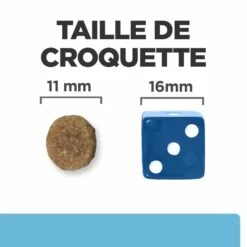 HILL'S Prescription Diet K/d Kidney Care Early Stage - Croquettes Pour Chien 15 HILL'S Prescription Diet K/d Kidney Care Early Stage - Croquettes Pour Chien -Promos Wanimo Boutique hill s prescription diet k d kidney care early stage croquettes pour chien 1 6