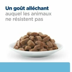 HILL'S Prescription Diet K/d Kidney Care Early Stage En Sachets Au Poulet - Pâtée Pour Chat -Promos Wanimo Boutique hill s prescription diet k d kidney care early stage en sachets au poulet patee pour chat 1 6