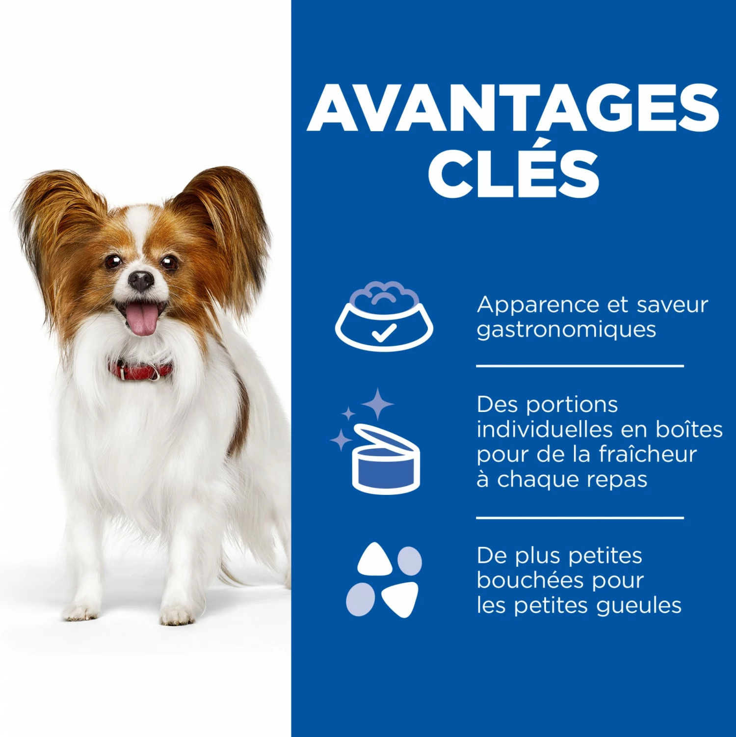 HILL'S Prescription Diet K/d Kidney Care En Mijotés Au Poulet - Pâtée Pour Chien 11 HILL'S Prescription Diet K/d Kidney Care En Mijotés Au Poulet - Pâtée Pour Chien – Image 11