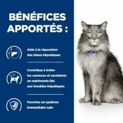 HILL'S Prescription Diet L/d Liver Care Au Poulet - Croquettes Pour Chat -Promos Wanimo Boutique hill s prescription diet l d liver care au poulet croquettes pour chat 1 3