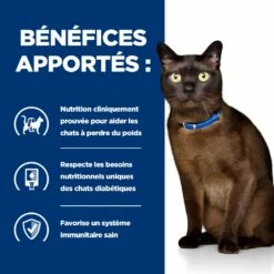 HILL'S Prescription Diet M/d Diabetes Care Au Poulet - Croquettes Pour Chat -Promos Wanimo Boutique hill s prescription diet m d diabetes care au poulet croquettes pour chat 1 3