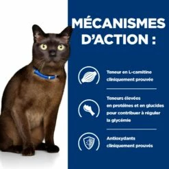 HILL'S Prescription Diet M/d Diabetes Care Au Poulet - Croquettes Pour Chat -Promos Wanimo Boutique hill s prescription diet m d diabetes care au poulet croquettes pour chat 1 4