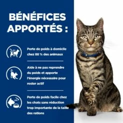 HILL'S Prescription Diet Metabolic Au Poulet - Croquettes Pour Chat -Promos Wanimo Boutique hill s prescription diet metabolic au poulet croquettes pour chat 1 3