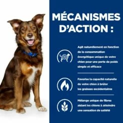 HILL'S Prescription Diet Metabolic Au Poulet - Croquettes Pour Chien -Promos Wanimo Boutique hill s prescription diet metabolic au poulet croquettes pour chien 1 5