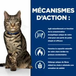HILL'S Prescription Diet Metabolic Au Thon - Croquettes Pour Chat -Promos Wanimo Boutique hill s prescription diet metabolic au thon croquettes pour chat 1 4
