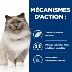 HILL'S Prescription Diet R/d Weight Loss Au Poulet - Croquettes Pour Chat 14 HILL'S Prescription Diet R/d Weight Loss Au Poulet - Croquettes Pour Chat -Promos Wanimo Boutique hill s prescription diet r d weight loss au poulet croquettes pour chat 1 4
