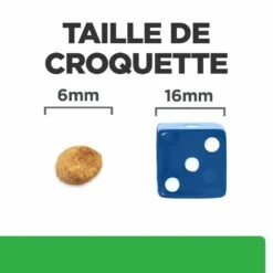 HILL'S Prescription Diet R/d Weight Loss Au Poulet - Croquettes Pour Chat 15 HILL'S Prescription Diet R/d Weight Loss Au Poulet - Croquettes Pour Chat -Promos Wanimo Boutique hill s prescription diet r d weight loss au poulet croquettes pour chat 1 5