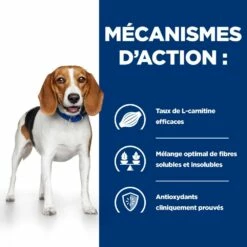 HILL'S Prescription Diet R/d Weight Loss Au Poulet - Croquettes Pour Chien -Promos Wanimo Boutique hill s prescription diet r d weight loss au poulet croquettes pour chien 1 4
