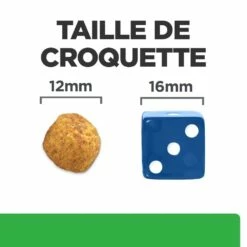HILL'S Prescription Diet R/d Weight Loss Au Poulet - Croquettes Pour Chien -Promos Wanimo Boutique hill s prescription diet r d weight loss au poulet croquettes pour chien 1 5