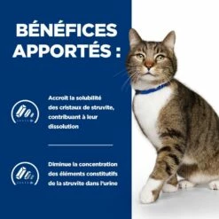 HILL'S Prescription Diet S/d Urinary Care Au Poulet - Croquettes Pour Chat -Promos Wanimo Boutique hill s prescription diet s d urinary care au poulet croquettes pour chat 1 3