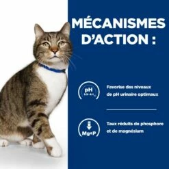HILL'S Prescription Diet S/d Urinary Care Au Poulet - Croquettes Pour Chat -Promos Wanimo Boutique hill s prescription diet s d urinary care au poulet croquettes pour chat 1 4