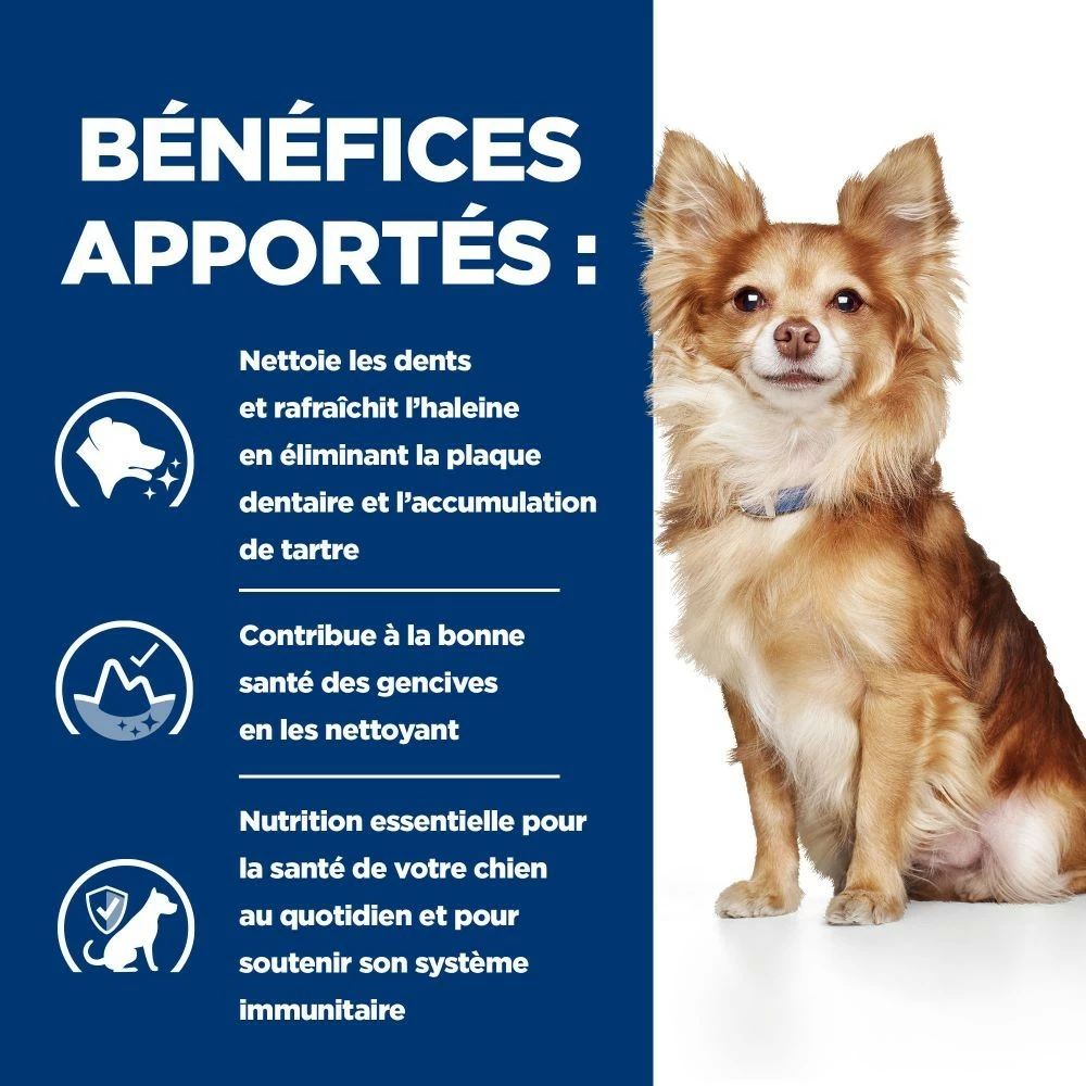HILL'S Prescription Diet T/d Dental Care Mini Au Poulet - Croquettes Pour Chien 5 HILL'S Prescription Diet T/d Dental Care Mini Au Poulet - Croquettes Pour Chien – Image 5