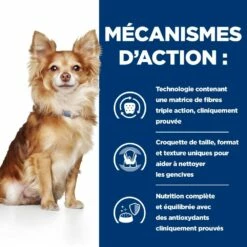 HILL'S Prescription Diet T/d Dental Care Mini Au Poulet - Croquettes Pour Chien 14 HILL'S Prescription Diet T/d Dental Care Mini Au Poulet - Croquettes Pour Chien -Promos Wanimo Boutique hill s prescription diet t d dental care mini au poulet croquettes pour chien 1 5