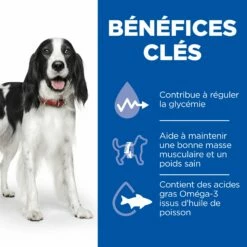 HILL'S Prescription Diet W/d Diabetes Care Au Poulet - Croquettes Pour Chien 25 HILL'S Prescription Diet W/d Diabetes Care Au Poulet - Croquettes Pour Chien -Promos Wanimo Boutique hill s prescription diet w d diabetes care au poulet croquettes pour chien 1 11