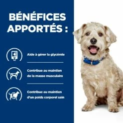 HILL'S Prescription Diet W/d Diabetes Care Au Poulet - Croquettes Pour Chien 17 HILL'S Prescription Diet W/d Diabetes Care Au Poulet - Croquettes Pour Chien -Promos Wanimo Boutique hill s prescription diet w d diabetes care au poulet croquettes pour chien 1 3