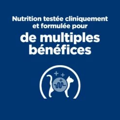HILL'S Prescription Diet W/d Multi Benefit Au Poulet - Croquettes Pour Chat -Promos Wanimo Boutique hill s prescription diet w d multi benefit au poulet croquettes pour chat 1 2