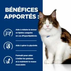 HILL'S Prescription Diet W/d Multi Benefit Au Poulet - Croquettes Pour Chat -Promos Wanimo Boutique hill s prescription diet w d multi benefit au poulet croquettes pour chat 1 4