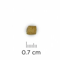 HILL'S Prescription Diet W/d Multi Benefit Au Poulet - Croquettes Pour Chat -Promos Wanimo Boutique hill s prescription diet w d multi benefit au poulet croquettes pour chat 1 9