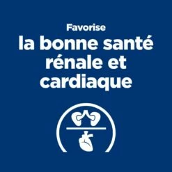 HILL'S Prescription Diet Y/d Thyroid Care - Croquettes Pour Chat -Promos Wanimo Boutique hill s prescription diet y d thyroid care croquettes pour chat 1 2