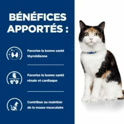 HILL'S Prescription Diet Y/d Thyroid Care - Croquettes Pour Chat -Promos Wanimo Boutique hill s prescription diet y d thyroid care croquettes pour chat 1 4
