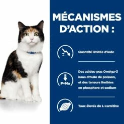 HILL'S Prescription Diet Y/d Thyroid Care - Croquettes Pour Chat -Promos Wanimo Boutique hill s prescription diet y d thyroid care croquettes pour chat 1 5