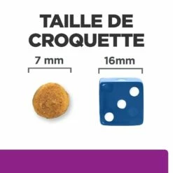 HILL'S Prescription Diet Y/d Thyroid Care - Croquettes Pour Chat -Promos Wanimo Boutique hill s prescription diet y d thyroid care croquettes pour chat 1 6