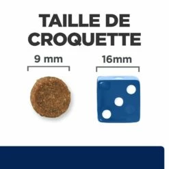 HILL'S Prescription Diet Z/d Food Sensitivities - Croquettes Pour Chat -Promos Wanimo Boutique hill s prescription diet z d food sensitivities croquettes pour chat 1 6