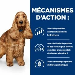 HILL'S Prescription Diet Z/d Food Sensitivities - Croquettes Pour Chien -Promos Wanimo Boutique hill s prescription diet z d food sensitivities croquettes pour chien 1 5